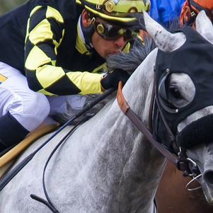 Thirsk Races 2025 Meetings