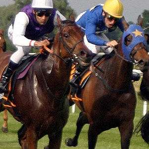 Thirsk Races 2025 Meetings